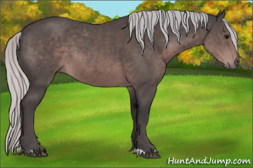 Horse Color:Platinum Silver Brown 