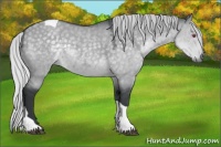 Horse Color:Silver Grullo Chinchilla Tobiano 