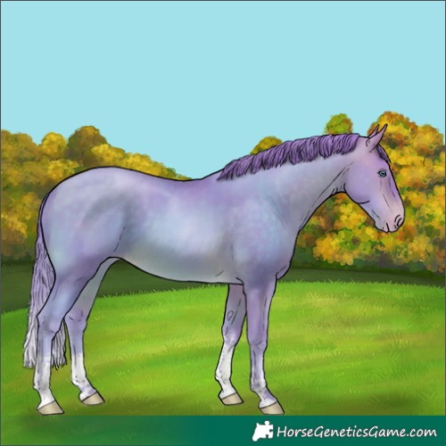 Horse Color:Watercolor Buckskin Pearl Sabino 