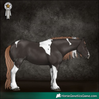 Horse Color:White Spotted Liver Chestnut Tobiano 