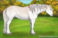 Horse Color:Silver Brown Roan Dun Mushroom Splash Rabicano