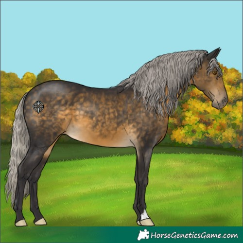 Horse Color:Silver Buckskin 