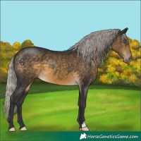 Horse Color:Silver Buckskin 