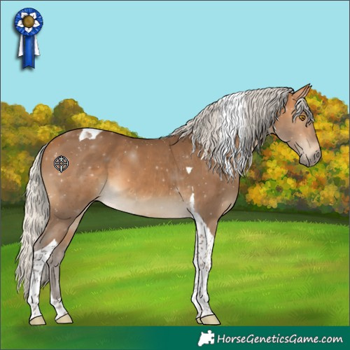 Horse Color:Silver Buckskin Tobiano