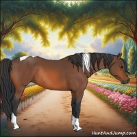 Horse Color:Bay Tobiano Rabicano 