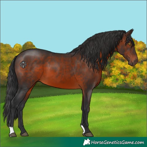 Horse Color:Brown 