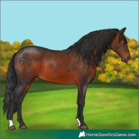 Horse Color:Brown 
