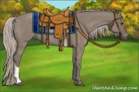 Horse Color:Silver Grullo 