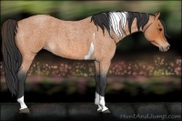 Horse Color:Bay Roan Tobiano 