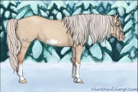 Horse Color:Silver Classic Champagne Dun Splash Frame