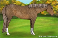 Horse Color:Chocolate Palomino