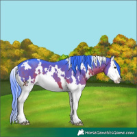 Horse Color:Watercolor White Spotted Brown Splash