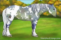 Horse Color:Watercolor White Spotted Silver Brown 