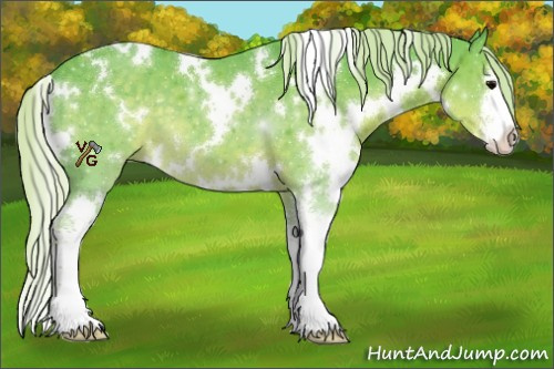 Horse Color:Watercolor White Spotted Silver Black Sabino 