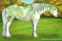 Horse Color:Watercolor White Spotted Silver Black Sabino 