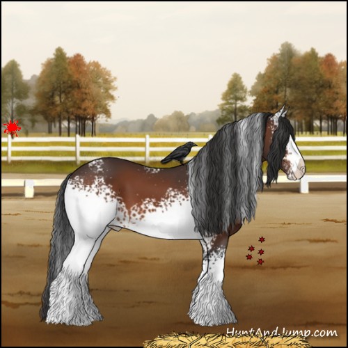 Horse Color:White Spotted Bay 