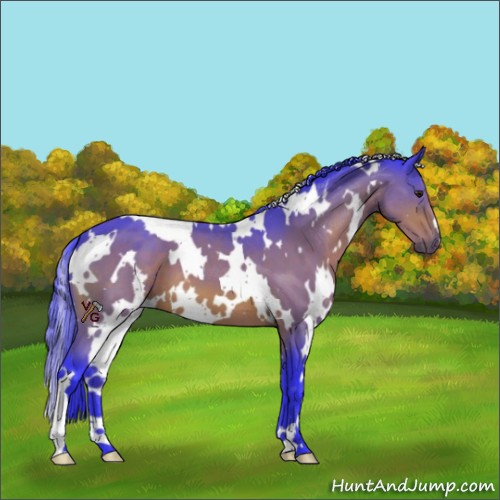 Horse Color:Watercolor White Spotted Brown 