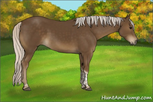 Horse Color:Silver Smoky Black Tobiano