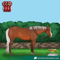 Horse Color:Silver Bay Splash 
