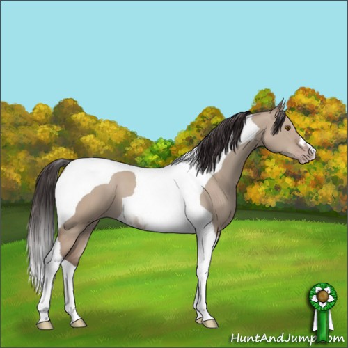Horse Color:Classic Champagne Dun Tobiano 