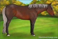 Horse Color:Silver Brown 