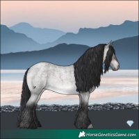 Horse Color:Platinum Brown Roan Dun 