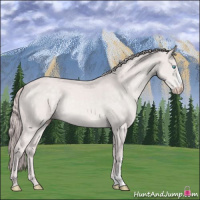 Horse Color:Platinum Chocolate Perlino