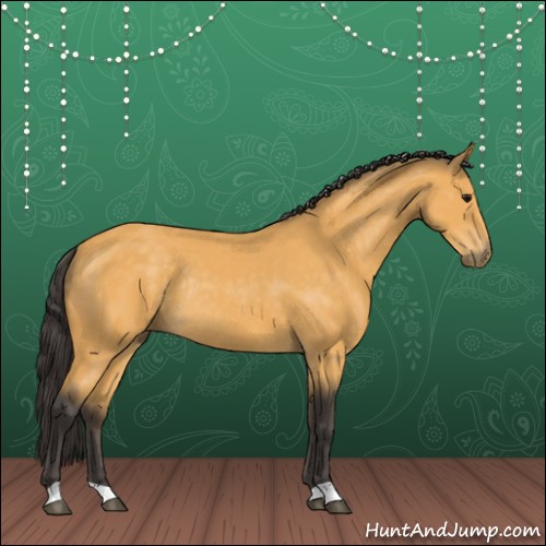 Horse Color:Buckskin Rabicano 