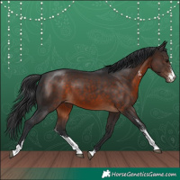 Horse Color:Brown Sabino 