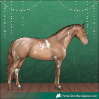 Horse Color:White Spotted Liver Chestnut Pearl 