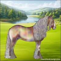 Horse Color:Nacre Silver Brown Onyx 