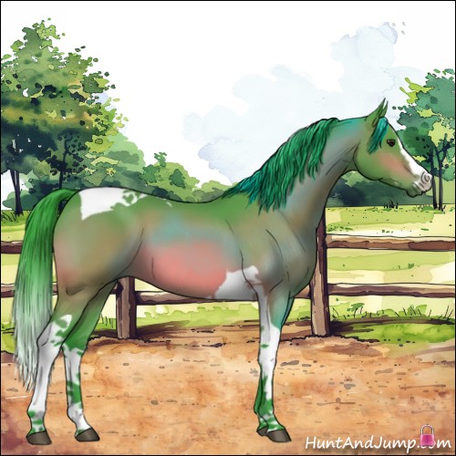 Horse Color:Watercolor Brown Splash Tobiano 