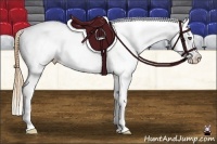 Horse Color:Buckskin Roan Snowcap
