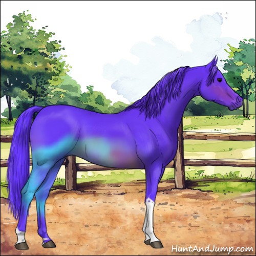 Horse Color:Watercolor Brown Tobiano 