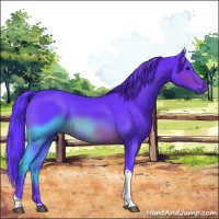 Horse Color:Watercolor Brown Tobiano 