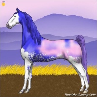 Horse Color:Watercolor Liver Chestnut Splash