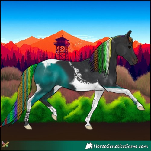 Horse Color:Painted Brown Tobiano 
