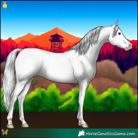 Horse Color:Watercolor White Spotted Silver Brown Splash