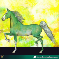 Horse Color:Watercolor Silver Brown Splash