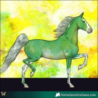 Horse Color:Watercolor Silver Brown Splash