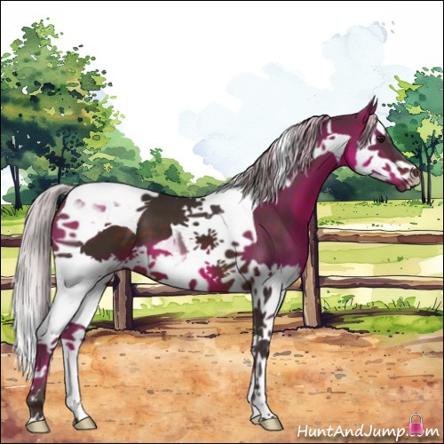 Horse Color:Silver Brown Splash Tobiano 