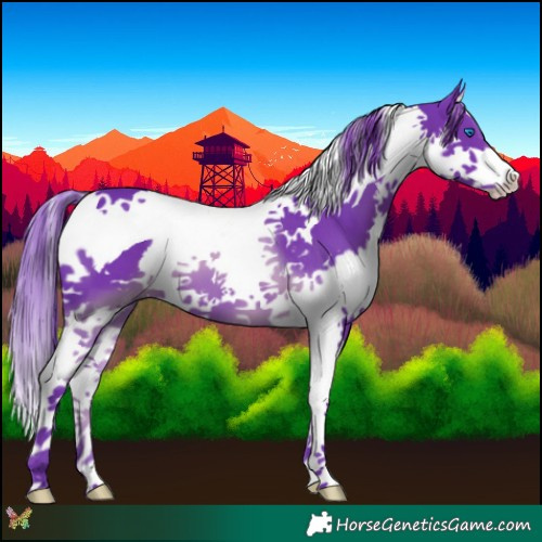 Horse Color:Watercolor Black Splash Tobiano