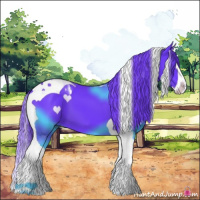 Horse Color:Watercolor Black Splash Tobiano 