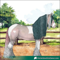Horse Color:Watercolor Bay Dun Splash Tobiano 