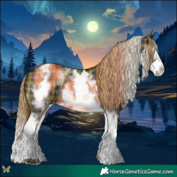Horse Color:Plaid  White Spotted Liver Chestnut Splash 