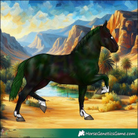 Horse Color:Midnight Brown 