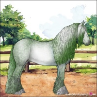 Horse Color:Gray Watercolor Black Ice 