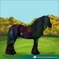 Horse Color:ERROR: UNKNOWN ANOMALY