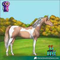 Horse Color:Gold Champagne Tobiano