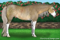 Horse Color:Silver Smoky Grullo Sabino Rabicano